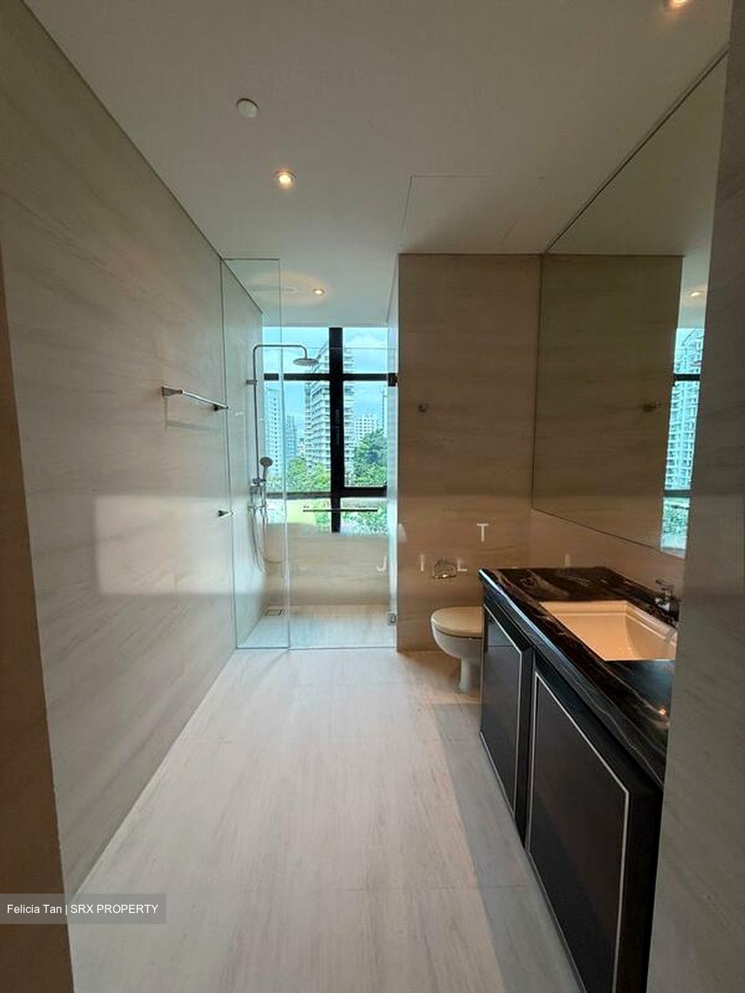 The Ritz-Carlton  (D9), Condominium #544540021